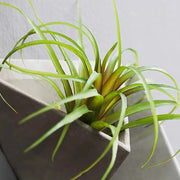 Jardiniere Ikebana Stem Holder